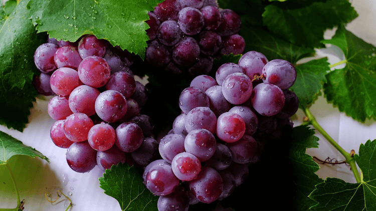 Grape