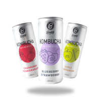 Bonsoy Kombucha - MYO 24pk