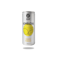 Bonsoy Kombucha