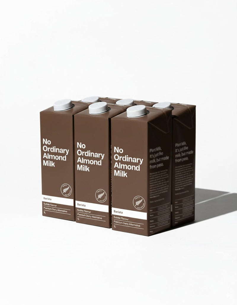 Load image into Gallery viewer, No Ordinary Almond Milk

