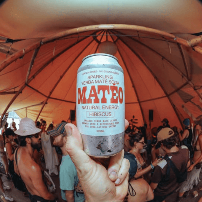 Load image into Gallery viewer, Matéo Sparkling Yerba Maté Soda (Cans)
