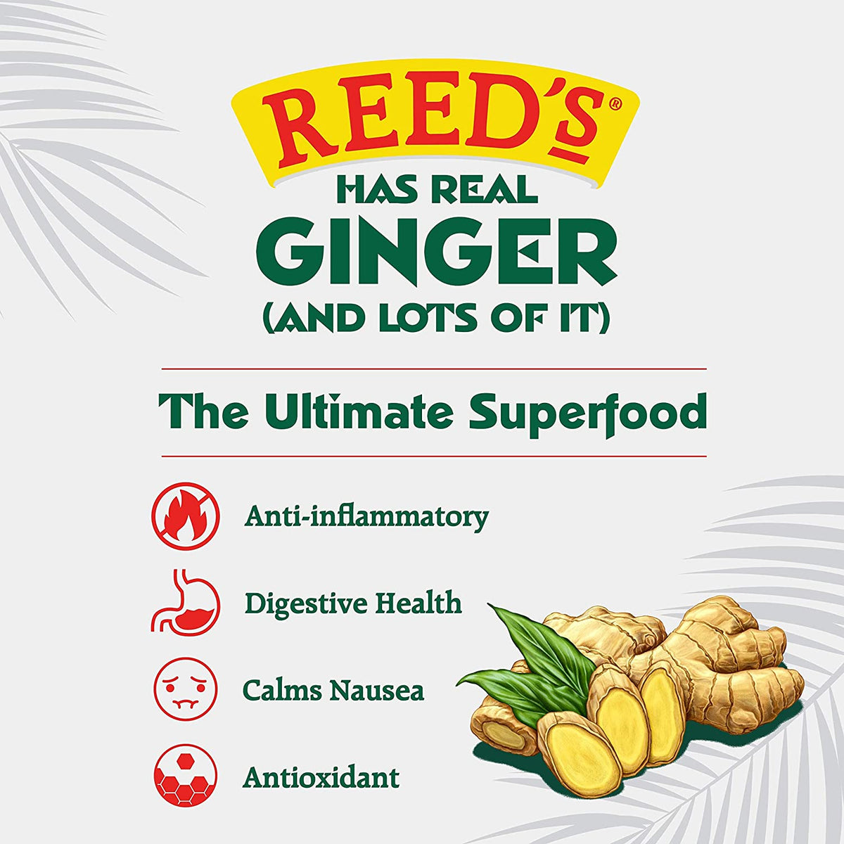 Reed's ginger beer superfood benefits